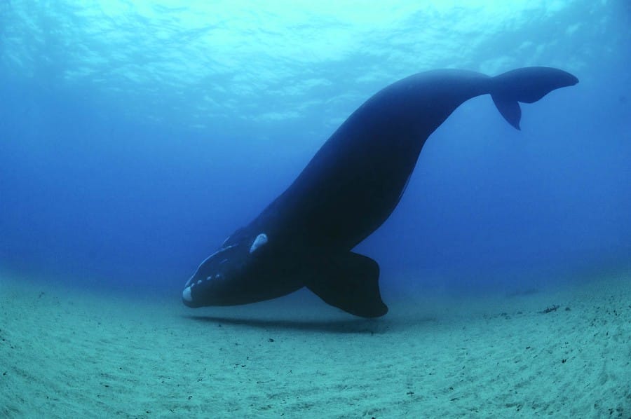 www.brianskerry.com