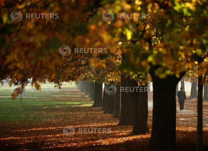 reuters.com