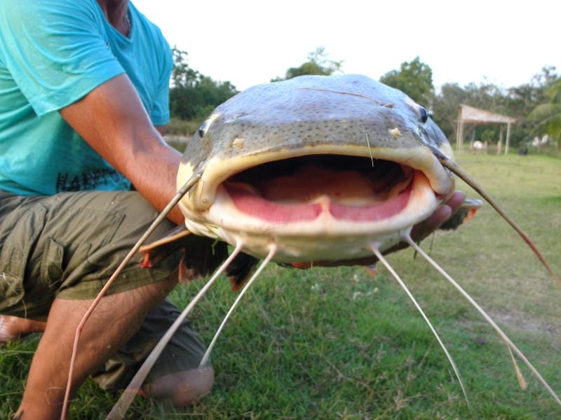 fishing-huahin.com