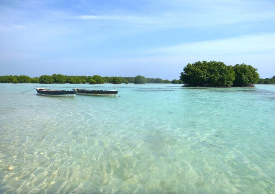 Wisata Hutan Manggrove Pulau Tidung