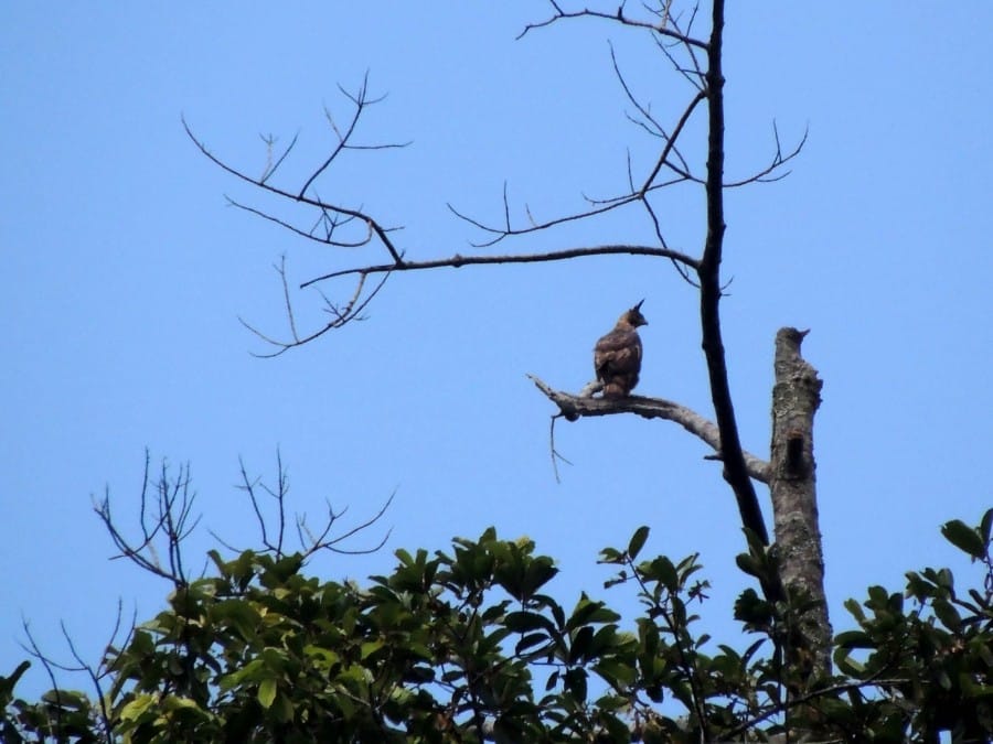 AAN20130512007 (ajikotapurwokerto.or.id)