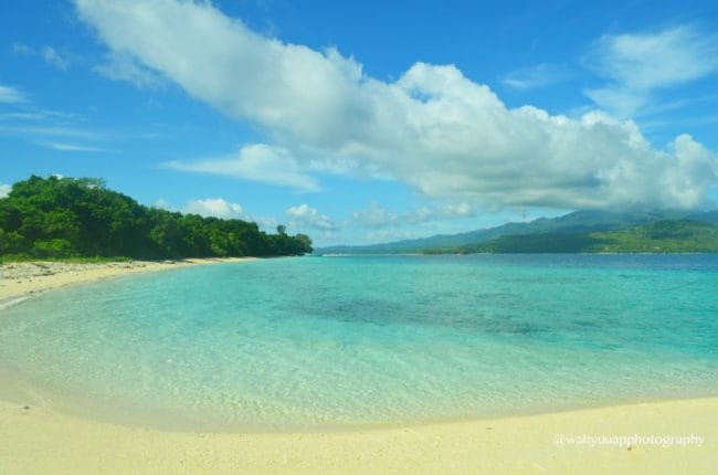 pulau pombo maluku