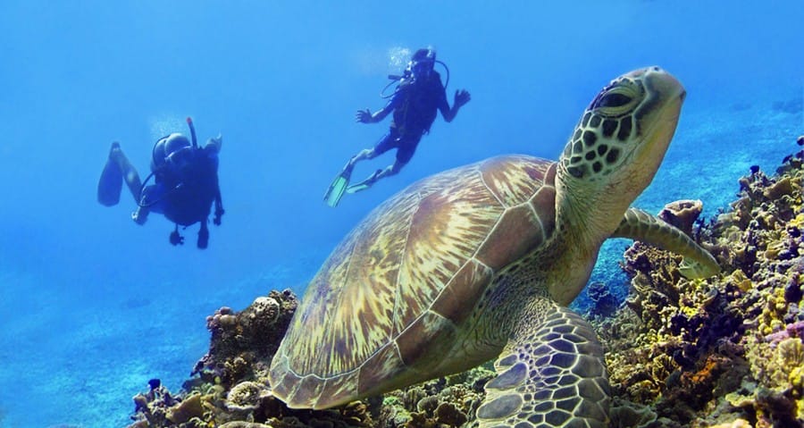 Scuba diving di Gili Air