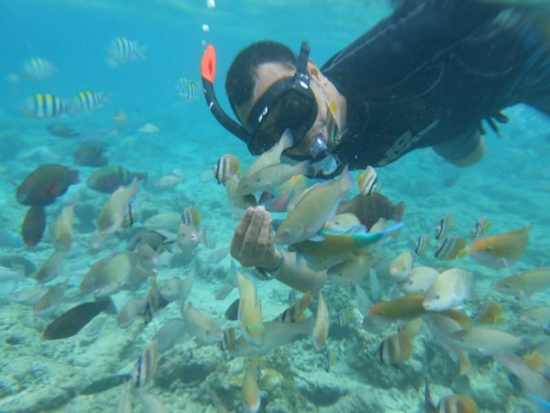 Snorkeling di Gili Air