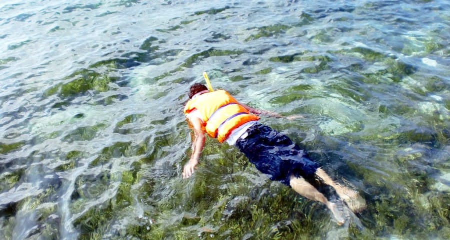 snorkeling-sebentar-di-pulau-sepa-kecil-sepa-timur-nyemplung (jakarta.panduanwisata.id)