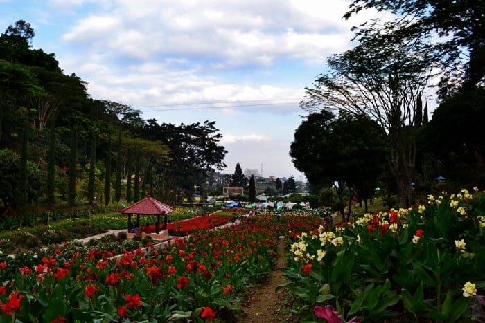 Taman Selecta Batu