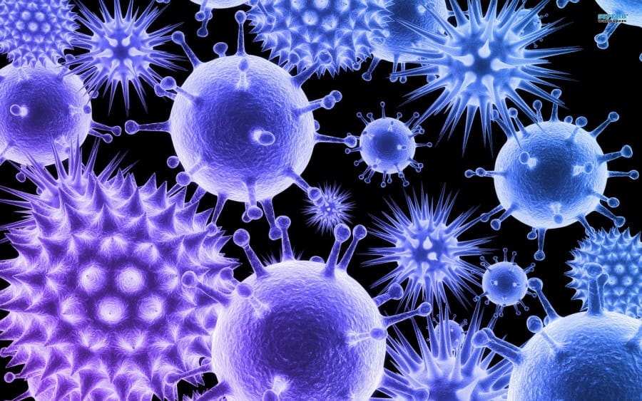 virus 1