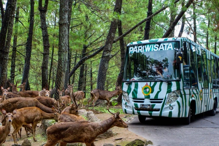 initempatwisata.com