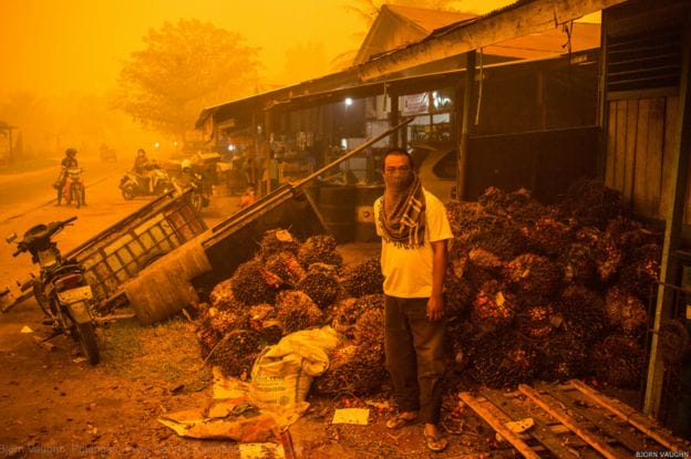 bambang dan kelapa sawit kalimantan tengah