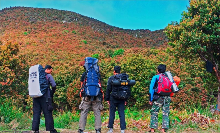 gunung papandayan