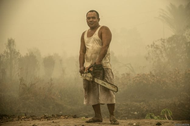 man with chainsaw kalimantan tengah