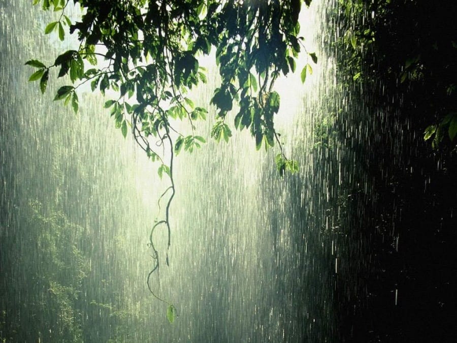 Manfaat-Air-Hujan-Untuk-Kelangsungan-Hidup-Manusia