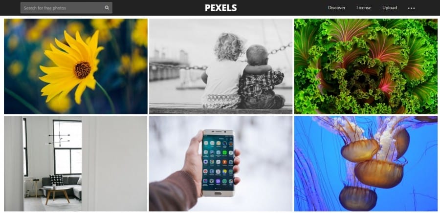 pexels.com 2