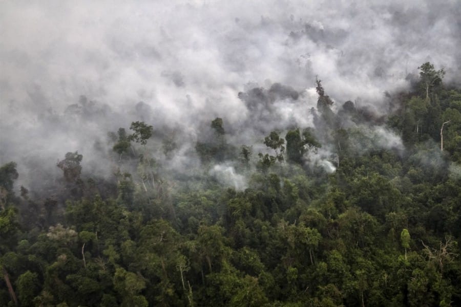 Kebakaran Hutan Indonesia