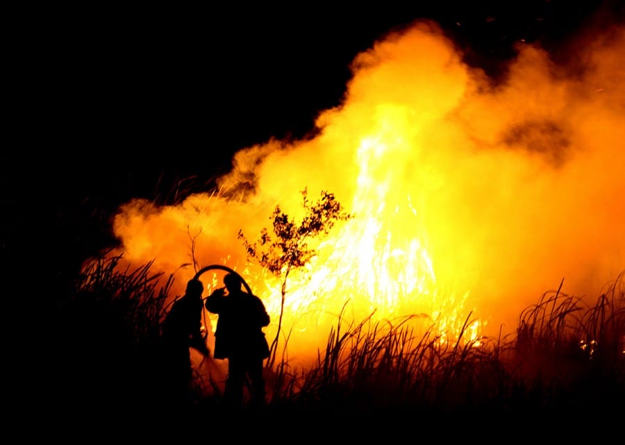 Kebakaran Hutan Indonesia 2