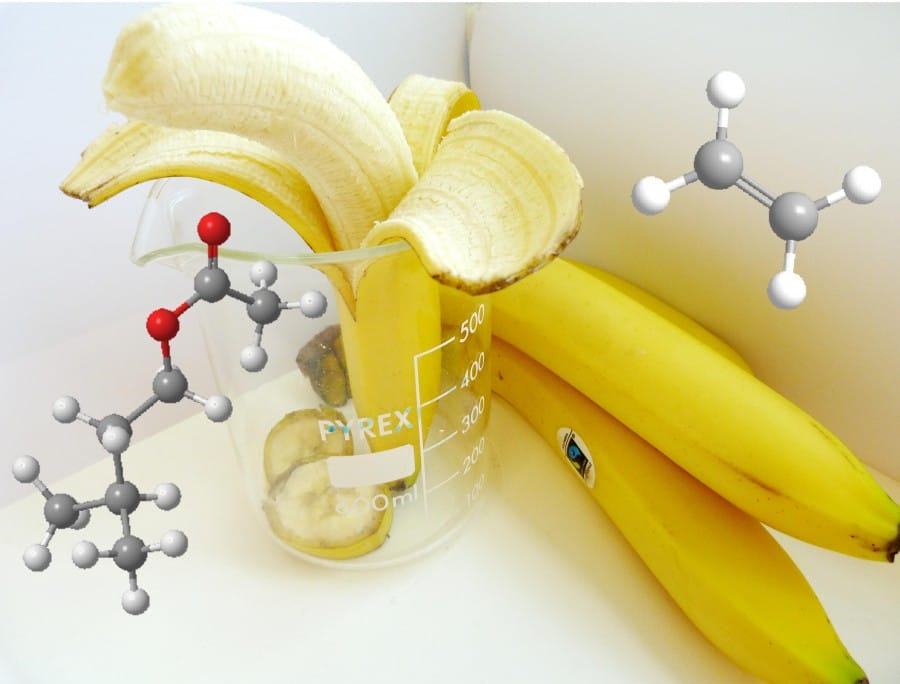 chempics.wordpress.com