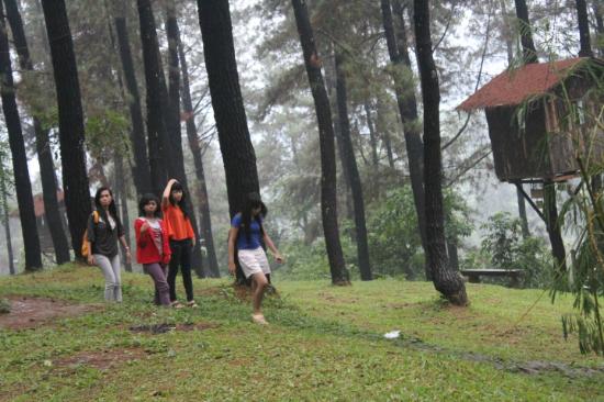 Salah satu fasilitas yang ada di Taman Dayu- Rumah Pohon | Pict by. tripadvisor.com