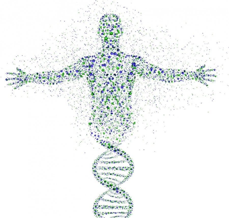 perbedaan dna dan rna