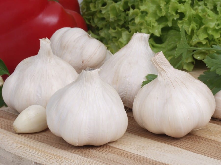 bawang putih