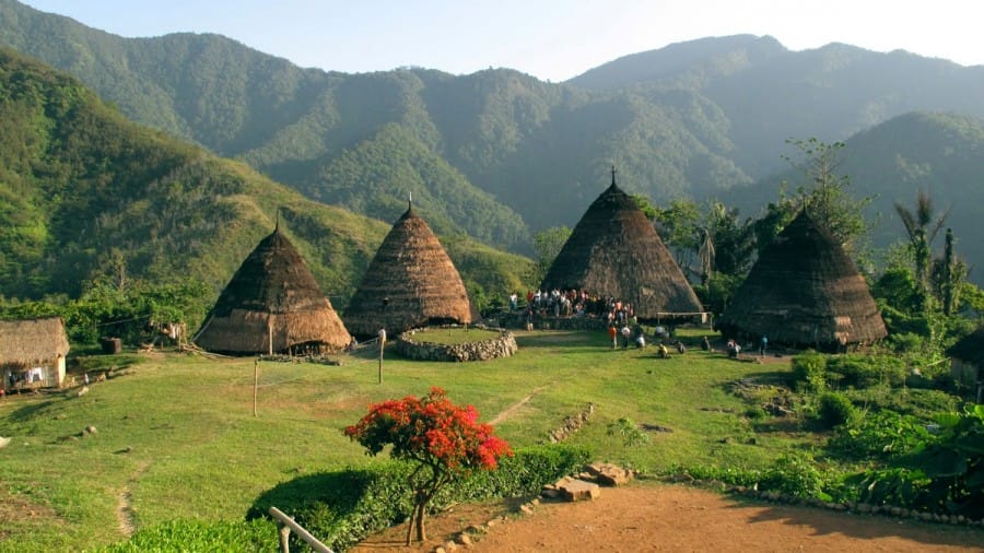 rumah adat papua