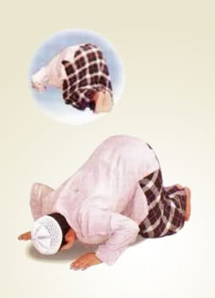 sujud