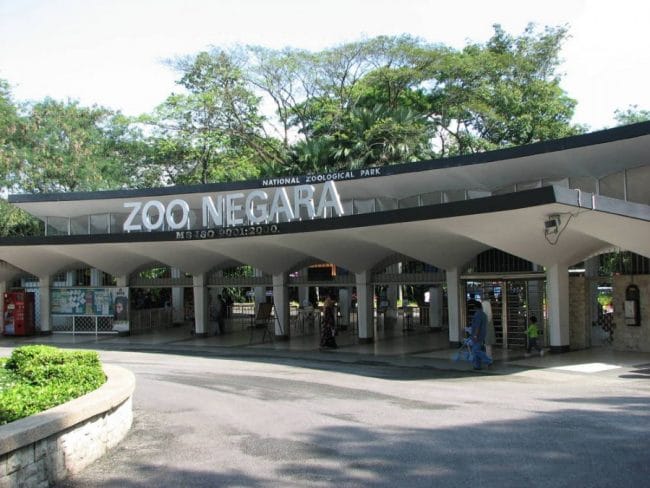 zoo negara malaysia