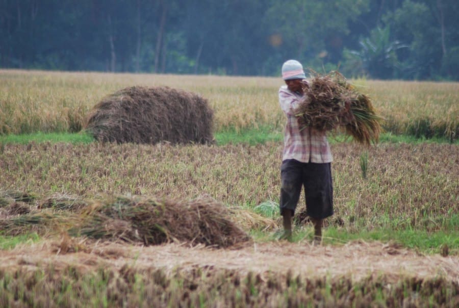 Pengertian makna buruh