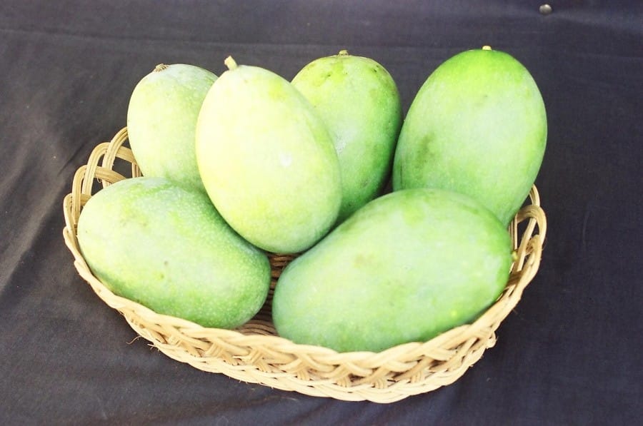 Mangga Arummanis Berkualitas Enak