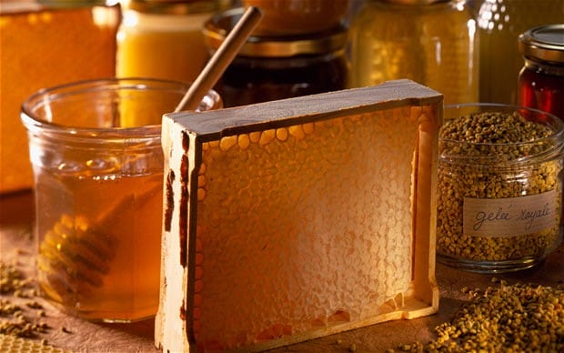 Royal_jelly_2075986b