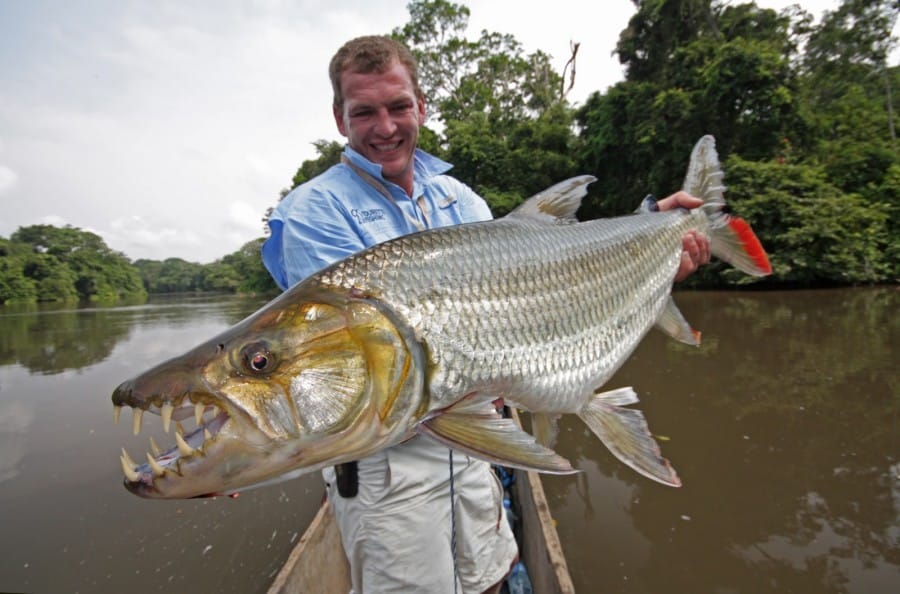 jenis ikan terganas di dunia