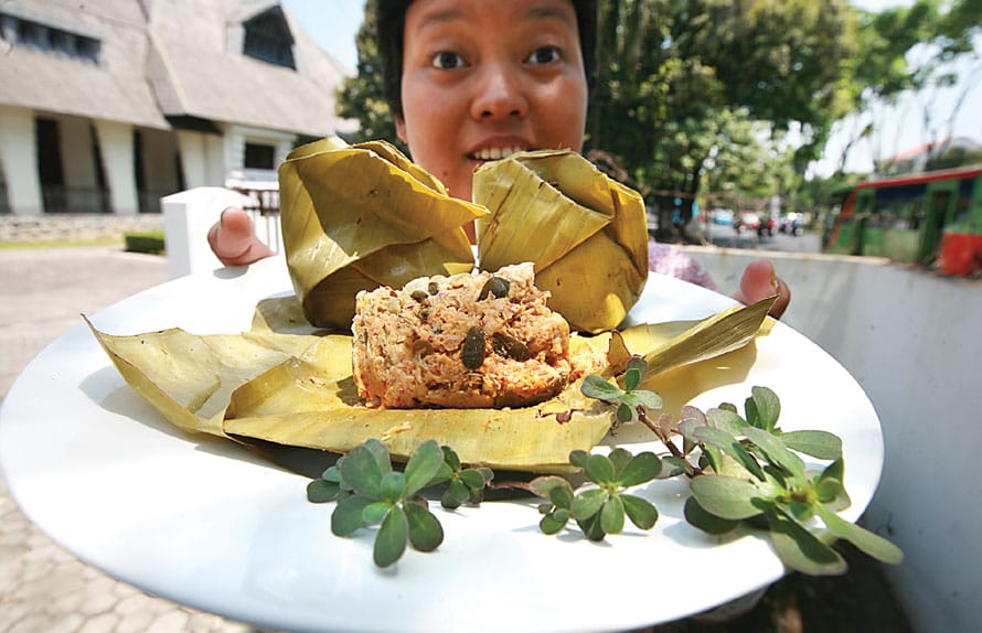 menu makanan tanaman krotok