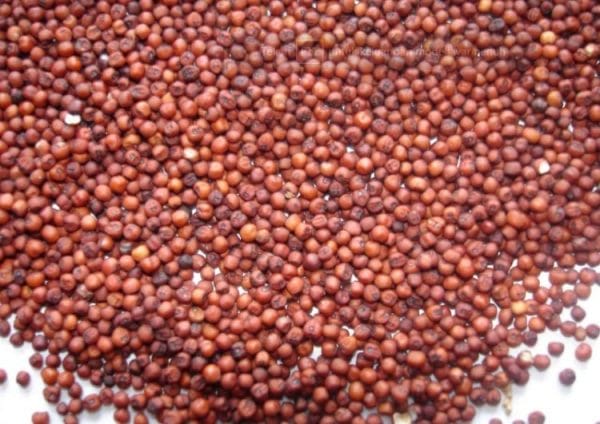 9 Bahan Dasar Roti yang Perlu Anda Ketahui