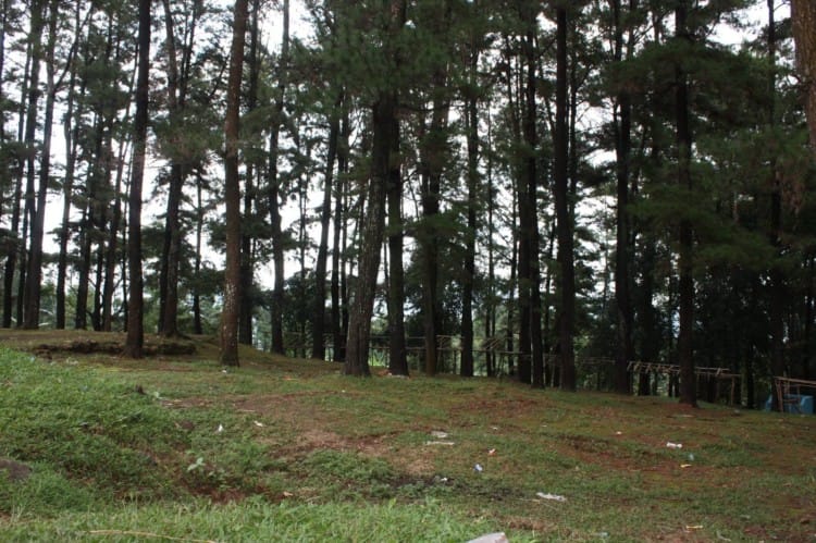 taman nasional gunung ciremai