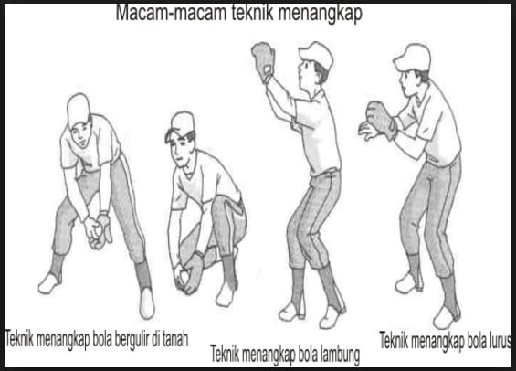 teknik menanngkap bola softball