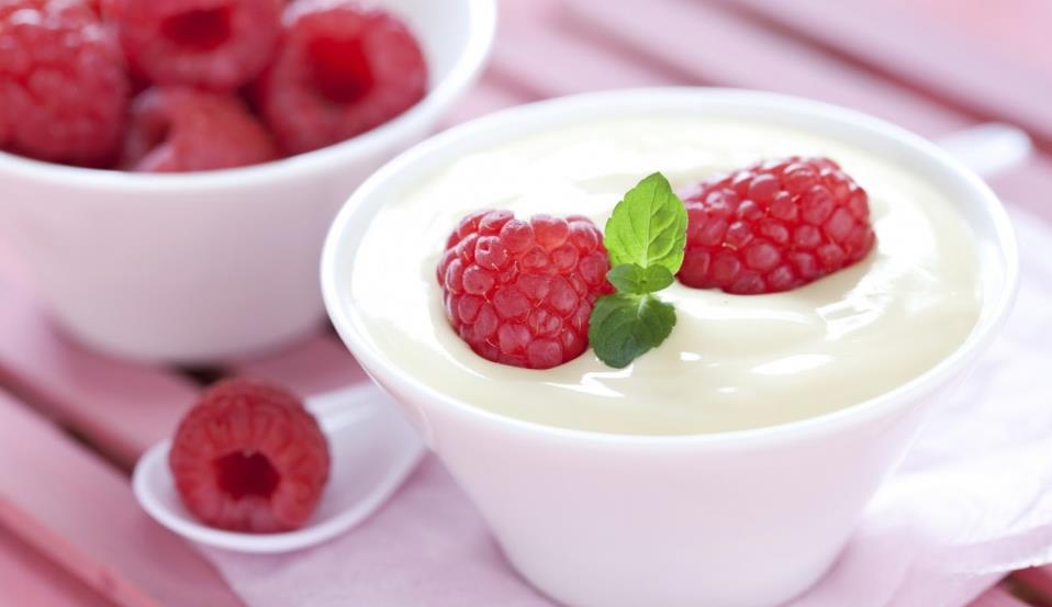 yoghurt hasil fermentasi susu 