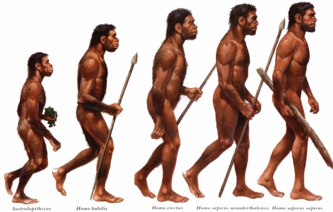 Ciri-ciri Homo Soloensis