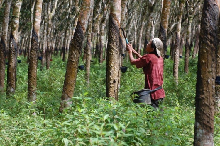 Pengertian Sumber Daya Alam