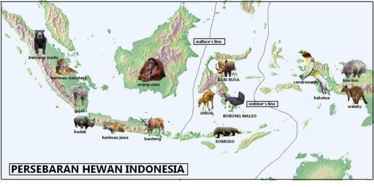 Persebaran Fauna di Indonesia