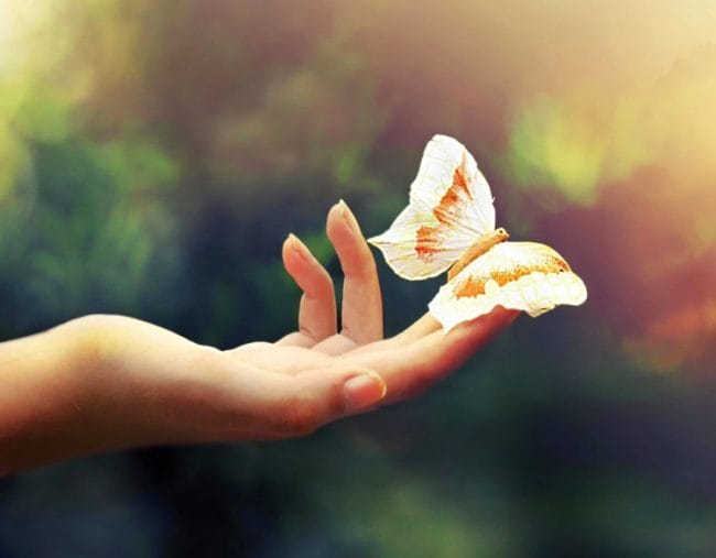 kupu kupu indah di tangan doa zakat fitrah