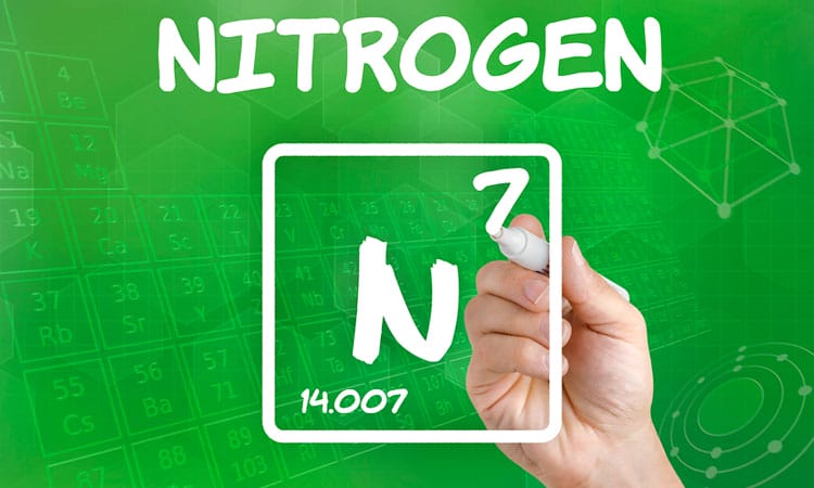nitrogen