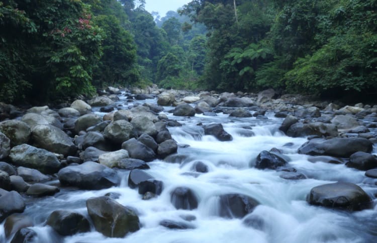 pola aliran sungai