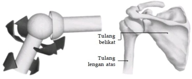 sendi peluru