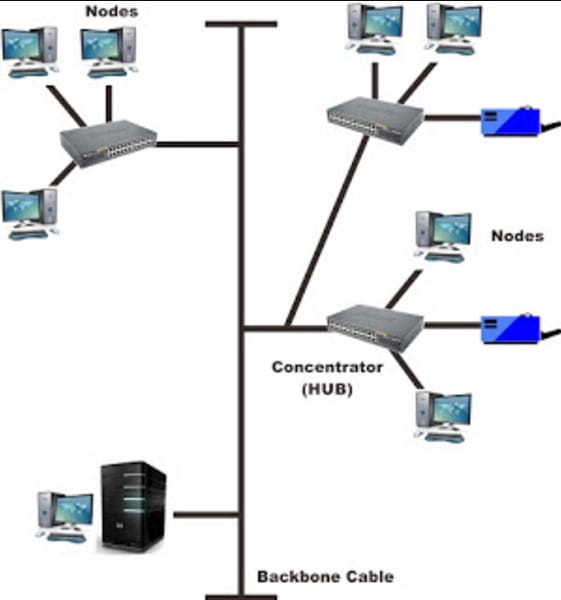 topologi tree