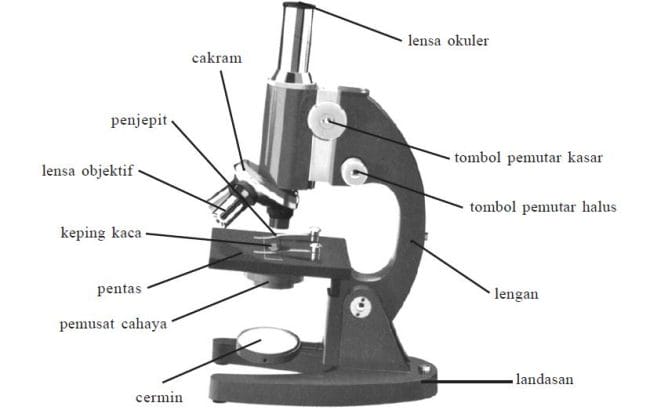 fungsi mikroskop