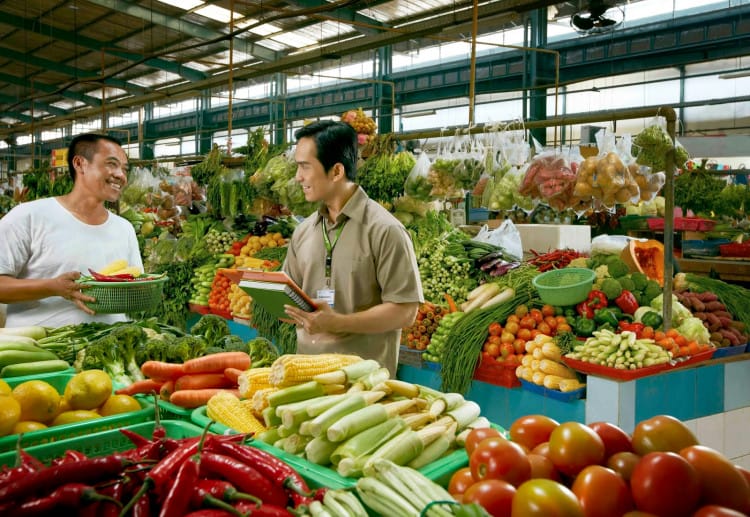 pasar persaingan sempurna