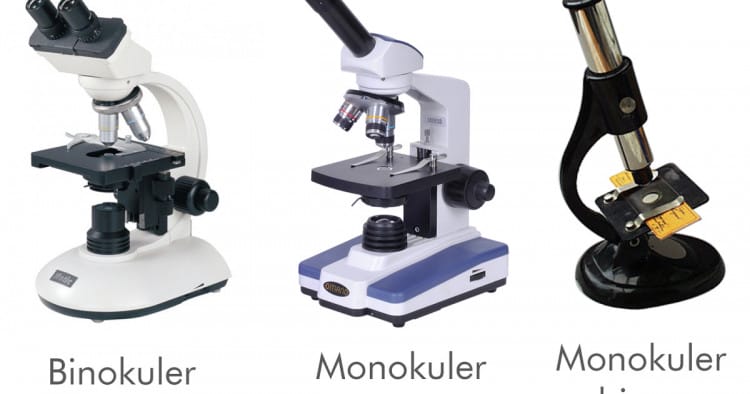 jenis mikroskop
